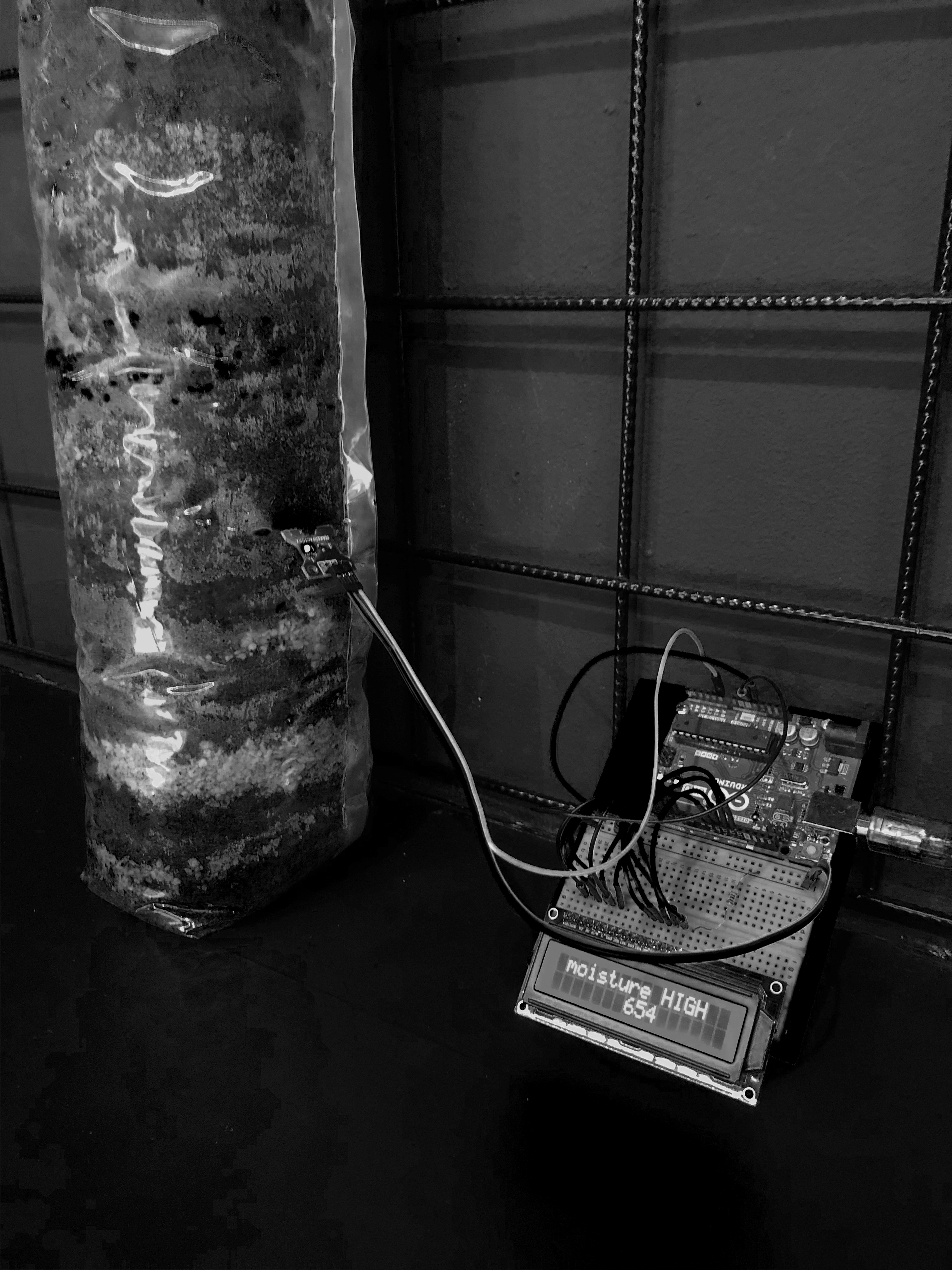 Soil Currents-Exhibition View